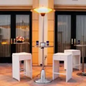 Permasteel 1500W Infrared Stainless Steel Patio Heater